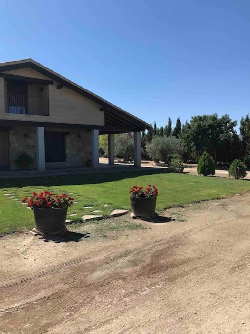 Casa Rural Alma Totanés Kültér fotó